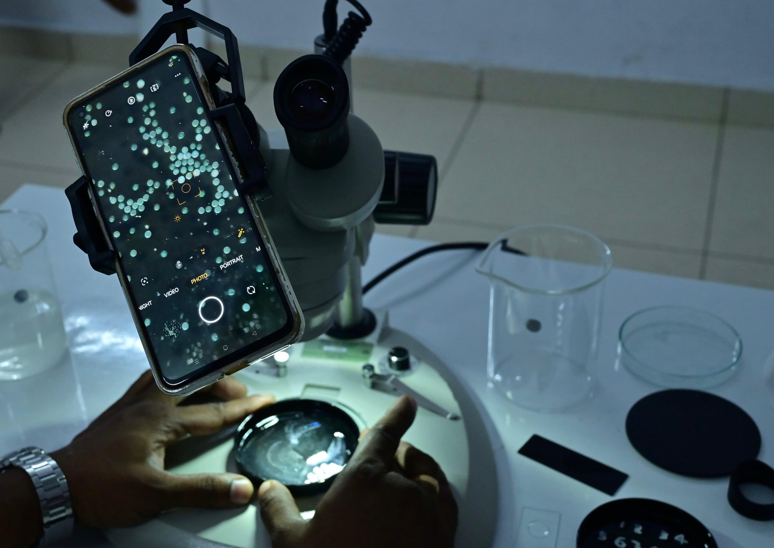 Diagnostic Laboratories