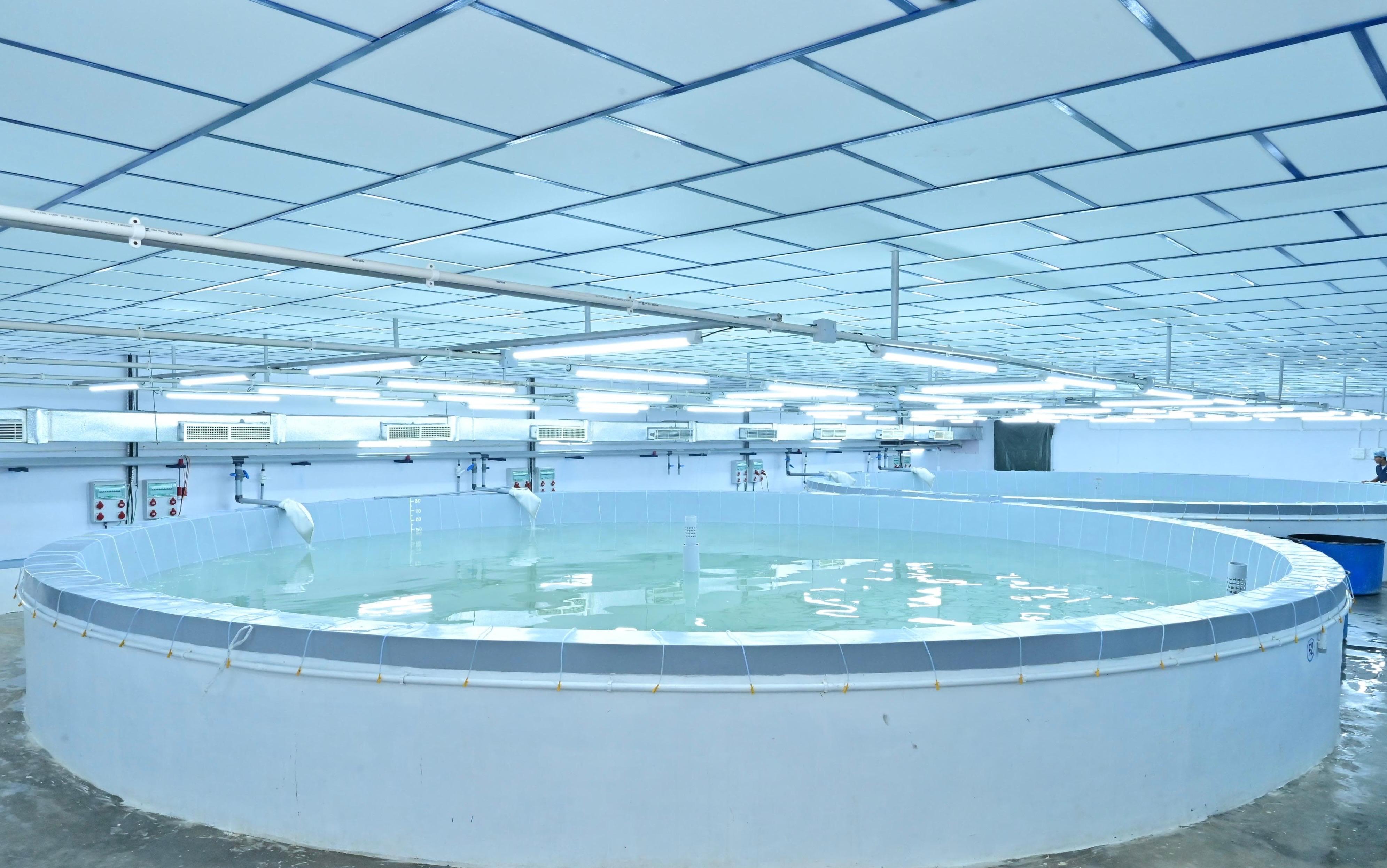 Hatchery Units